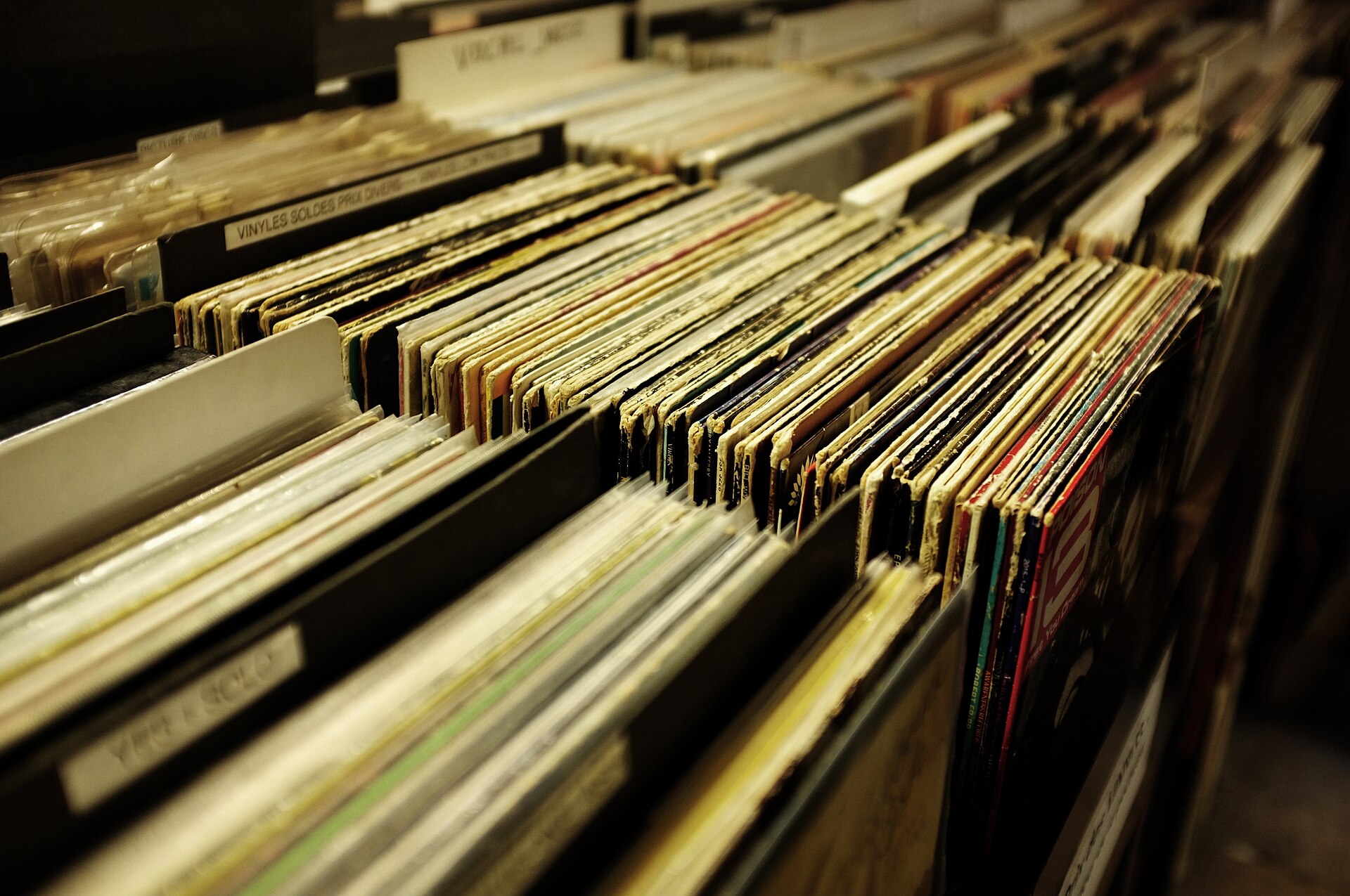 Rows of vinyl records arranged in browsing bins at a record store